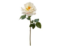 Edg Kunstblumen Rose Weiss H: 56 cm  | Schubiger Möbel