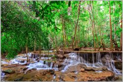 image LAND Bild mit Rahmen Kleiner Wasserfall im Wald 1  | Schubiger Möbel