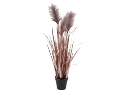 Edg Kunstpflanzen Pampasgrass Lilia H: 100 cm  | Schubiger Möbel