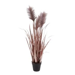 Edg Kunstpflanzen Pampasgrass Lilia H: 100 cm  | Schubiger Möbel