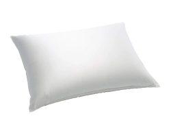 Billerbeck Kissen Eider Soft Plus Champagne Weiss | Schubiger Möbel