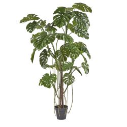 Edg Kunstpflanze Monstera H: 240 cm  | Schubiger Möbel