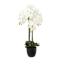 Gasper Kunstpflanze Orchidee im Resintopf,weiß H: 99 cm  | Schubiger Möbel