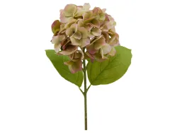 Edg Kunstblume Hortensie Grün-Pink H: 50 cm Mehrfarbig | Schubiger Möbel