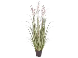 Edg Kunstpflanzen Schilf Apricot H: 130 cm  | Schubiger Möbel
