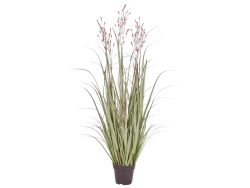Edg Kunstpflanzen Schilf Apricot H: 130 cm  | Schubiger Möbel