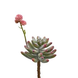 Edg Kunstblume Fetthenne Rosa H: 24 cm  | Schubiger Möbel