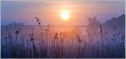 image LAND Bild mit Rahmen Sonnenaufgang im Nebel  | Schubiger Möbel