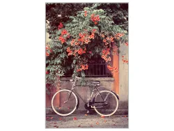 image LAND Bild mit Rahmen Fahrrad Unter Roten Blüten  | Schubiger Möbel