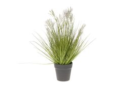 Decofinder Kunstpflanzen Nadelgras im Topf H: 54 cm  | Schubiger Möbel