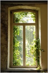 image LAND Bild mit Rahmen Fenster Bewachsen mit Laub  | Schubiger Möbel