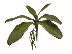Edg Kunstblume Orchideenblätter H: 27 cm  | Schubiger Möbel