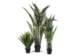 Decofinder Kunstpflanzen Lederfarn H: 116 cm  | Schubiger Möbel