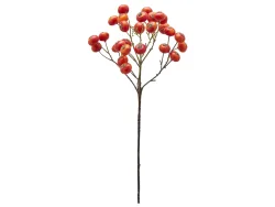 Edg Kunstblumen Beeren Dunkelorange H: 60 cm  | Schubiger Möbel