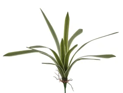 Edg Kunstblume Chlorophytum Weiss-Grün H: 51 cm  | Schubiger Möbel