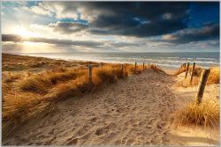 image LAND Bild mit Rahmen Sandweg Zum Meer 3  | Schubiger Möbel