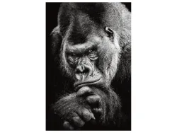 image LAND Alubild Imposanter Gorilla  | Schubiger Möbel