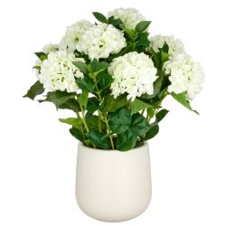 Gasper Kunstpflanzen Hortensien Creme im Kunststofftopf H: 70 cm  | Schubiger Möbel