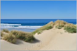 image LAND Bild mit Rahmen Dünen am Meer 1  | Schubiger Möbel