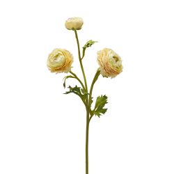 Edg Kunstblume Ranunkel H: 60 cm  | Schubiger Möbel