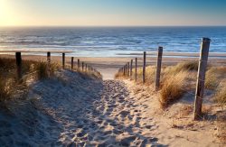 image LAND Alubild Sandweg Zum Meer  | Schubiger Möbel