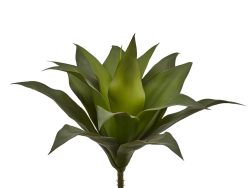 Edg Kunstblume Agave Grün H: 28 cm  | Schubiger Möbel