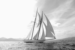 image LAND Alubild Segelschiff in Schwarz Weiß  | Schubiger Möbel
