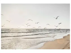 image LAND Digitaldruck auf Glas Möwen Über Dem Meer  | Schubiger Möbel