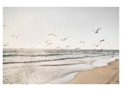 image LAND Digitaldruck auf Glas Möwen Über Dem Meer  | Schubiger Möbel