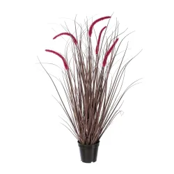 Gasper Kunstblume Pesetum Aubergine H: 89 cm  | Schubiger Möbel