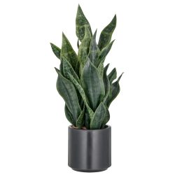 Gasper Kunstpflanze Sansevieria Grey Stripe, Dunkelgrün  | Schubiger Möbel
