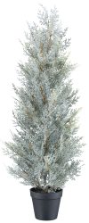 Gasper Kunstpflanzen Koniferenbaum, Grau H: 79 cm  | Schubiger Möbel