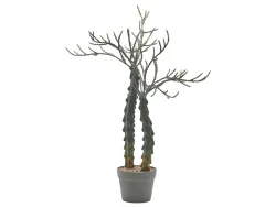 Edg Kunstpflanze Kakuts im Topf H: 75 cm  | Schubiger Möbel