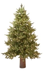 Edg Weihnachtsbaum Pino 3000 Led H: 180 cm  | Schubiger Möbel