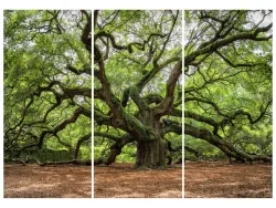 image LAND Alubild Verzweigter Baum  | Schubiger Möbel