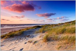 image LAND Bild mit Rahmen Dünen am Meer 3  | Schubiger Möbel