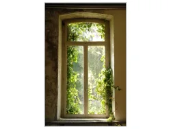 image LAND Bild mit Rahmen Fenster Bewachsen mit Laub  | Schubiger Möbel