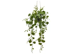 Edg Kunstpflanze Hänger H: 64 cm  | Schubiger Möbel