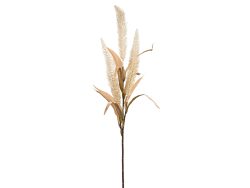 Gasper Kunstblume Graszweig Creme H: 70 cm  | Schubiger Möbel