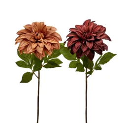 Edg Kunstblume Dahlie Braun-Rot H: 50 cm  | Schubiger Möbel