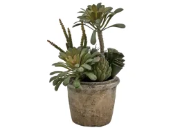 Edg Kunstpflanze Succulenten Mix H: 25 cm  | Schubiger Möbel