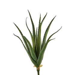 Edg Kunstpflanze Aloe H: 50 cm  | Schubiger Möbel