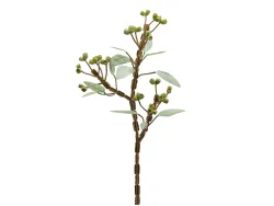 Edg Kunstblume Eucalypthus Grün H: 80 cm  | Schubiger Möbel