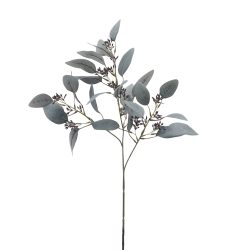 Edg Kunstblume Eukalyptus Hellgrün H: 60 cm  | Schubiger Möbel