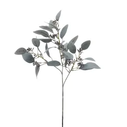 Edg Kunstblume Eukalyptus Hellgrün H: 60 cm  | Schubiger Möbel