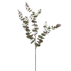 Edg Kunstblume Eukalyptus Fein Grün,rosa H: 105 cm  | Schubiger Möbel