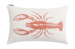 Sander AG Kissenhülle Nova Lobster, Terracotta 40 x 60 cm  | Schubiger Möbel