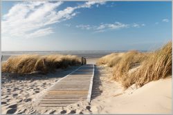 image LAND Bild mit Rahmen Holzweg Zum Meer 1  | Schubiger Möbel