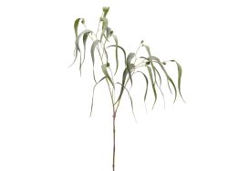 Edg Kunstblume Eucalypthus H: 115 cm  | Schubiger Möbel