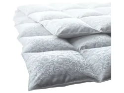 Billerbeck Kissen Eider Soft Plus Rose Weiss | Schubiger Möbel